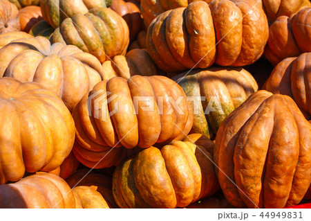 lots of ripe fresh pumpkins on the market 44949831
