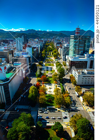 札幌都市風景  テレビ塔からの眺め 44950121