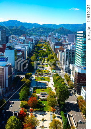 札幌都市風景  テレビ塔からの眺め 44950122