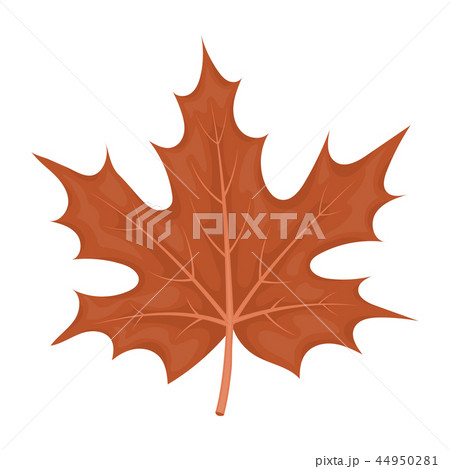 Maple leaf icon in cartoon style isolated on white background. Canadian Thanksgiving Day symbol 44950281