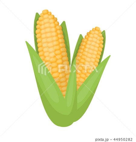 Sweet corn icon in cartoon style isolated on white background. Canadian Thanksgiving Day symbol Sweet corn icon in cartoon style isolated on white background. Canadian Thanksgiving Day symbol 44950282