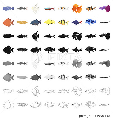 Aquarium fish set icons in cartoon style. Big collection of aquarium fish vector symbol stock 44950438