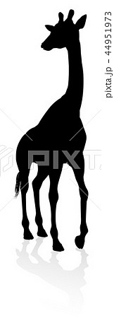 Giraffe Safari Animal Silhouette Giraffe Safari Animal Silhouette 44951973