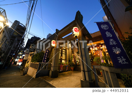 日本の東京都市景観　新橋の烏森神社などを望む 44952031
