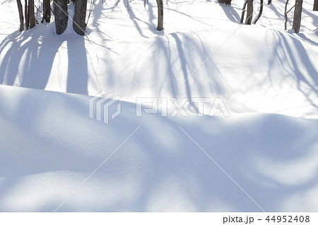 雪景色、木影、冬景色 44952408