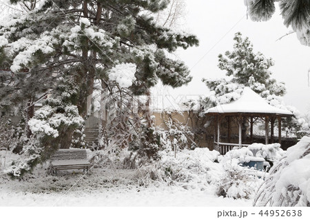 Beautiful winter day is in the city. Beautiful winter day is in the city. 44952638