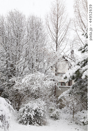 Beautiful winter day is in the city. 44952639