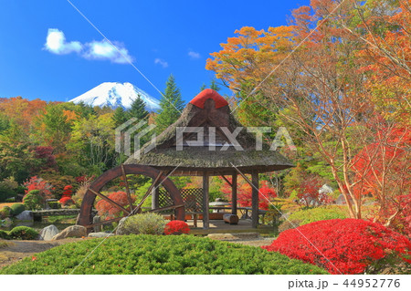 紅葉の鱒の家と富士山 紅葉の鱒の家と富士山 44952776