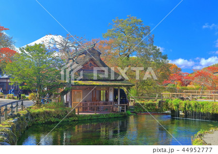 忍野八海　中池と富士山 44952777