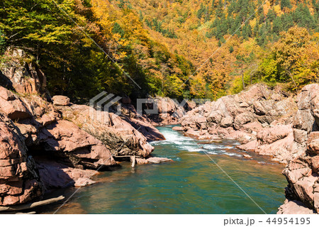 Fall landscape with mountain river and forest Fall landscape with mountain river and forest 44954195