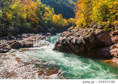 Fall landscape with mountain river and forest 44954196