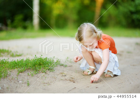 Adorable little girl catching little babyfrogs 44955514