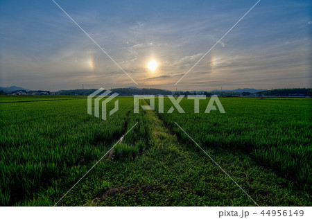 sun halo and sun dog 44956149