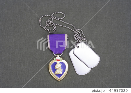 Purple Heart award on green uniform with dog tags Purple Heart award on green uniform with dog tags 44957029
