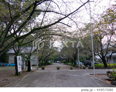 愛知縣護國神社 44957080