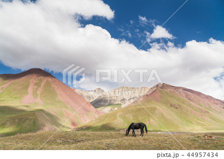 Beautyful landscape 44957434