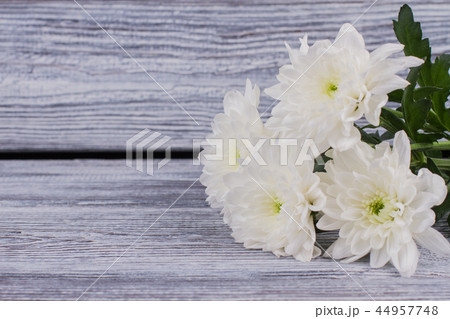 Bunch of white chrysanthemums on wooden background. Bunch of white chrysanthemums on wooden background. 44957748