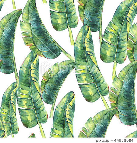 Natural illustration, watercolor seamless pattern of leaves Natural illustration, watercolor seamless pattern of leaves 44958084