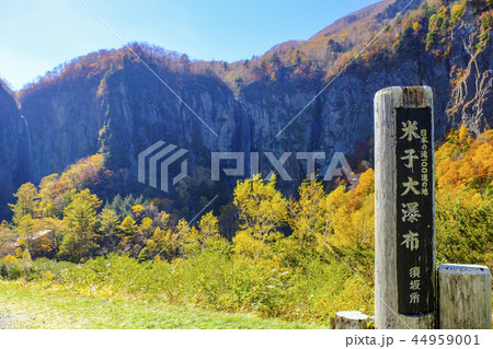 紅葉の米子大瀑布 紅葉の米子大瀑布 44959001