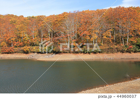 なべくら高原の秋　紅葉の茶屋池 44960037