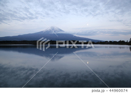 田貫湖からの富士山 【富士宮市】 44960074