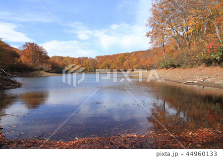 なべくら高原の秋　紅葉の茶屋池 44960133