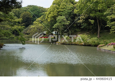 特別名勝日本庭園「六義園」-13 44960415