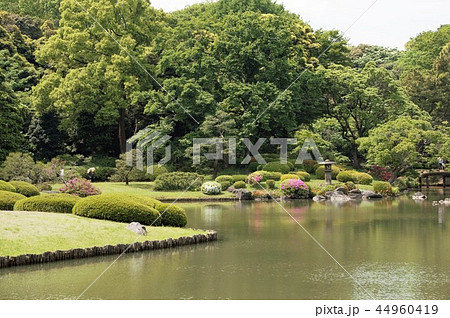 特別名勝日本庭園「六義園」-9 特別名勝日本庭園「六義園」-9 44960419