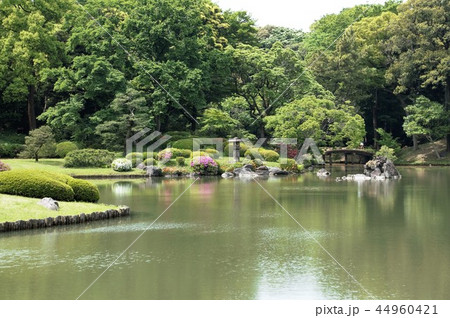 特別名勝日本庭園「六義園」-7 特別名勝日本庭園「六義園」-7 44960421