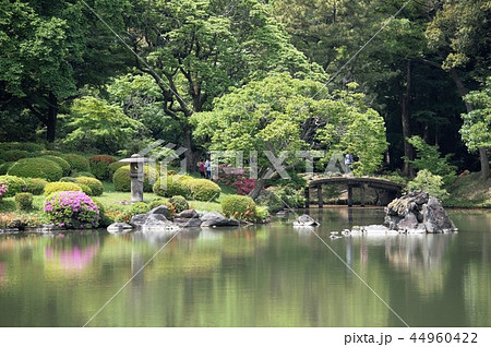 特別名勝日本庭園「六義園」-6 44960422