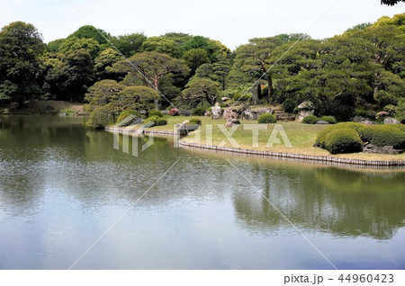 特別名勝日本庭園「六義園」-5 特別名勝日本庭園「六義園」-5 44960423