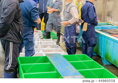 静岡県沼津魚市場 魚介類の競り場 静岡県沼津魚市場 魚介類の競り場 44960558