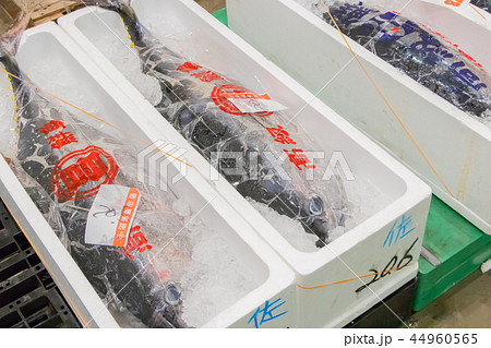 静岡県沼津魚市場 魚介類の競り場 静岡県沼津魚市場 魚介類の競り場 44960565