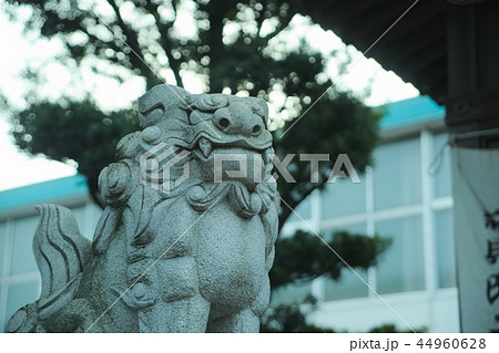 新貝天満社 新貝天満社 44960628