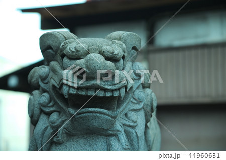 新貝天満社 新貝天満社 44960631