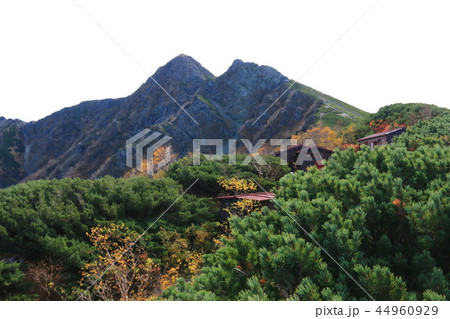 南アルプス塩見岳山頂への道 塩見小屋から仰ぎ見る塩見岳山頂 南アルプス塩見岳山頂への道 塩見小屋から仰ぎ見る塩見岳山頂 44960929