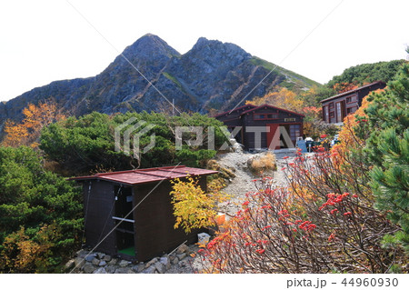 南アルプス塩見岳山頂への道 塩見小屋から仰ぎ見る塩見岳山頂 南アルプス塩見岳山頂への道 塩見小屋から仰ぎ見る塩見岳山頂 44960930