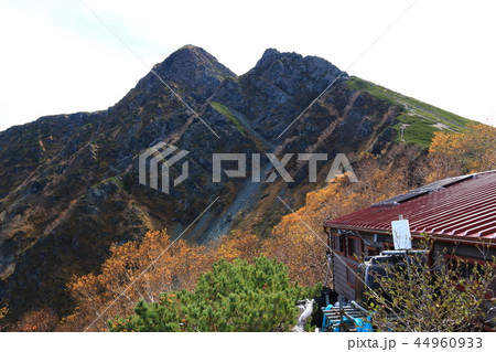 南アルプス塩見岳山頂への道 　塩見小屋から仰ぎ見る塩見岳山頂 44960933