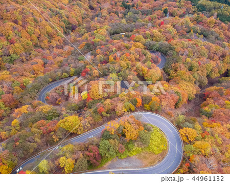 空撮　紅葉に染まった日光いろは坂 44961132