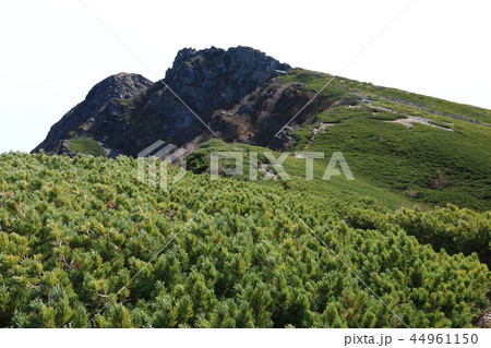 南アルプス塩見岳山頂への道 　塩見小屋から仰ぎ見る塩見岳山頂 44961150
