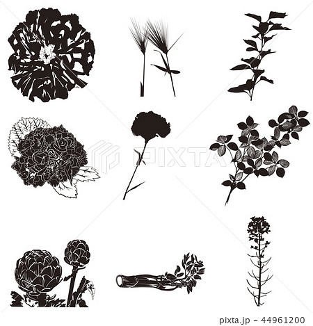 花と植物シルエットのイラスト素材