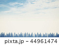 Blue Forest Background 44961474