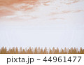 Brown Forest Background 44961477