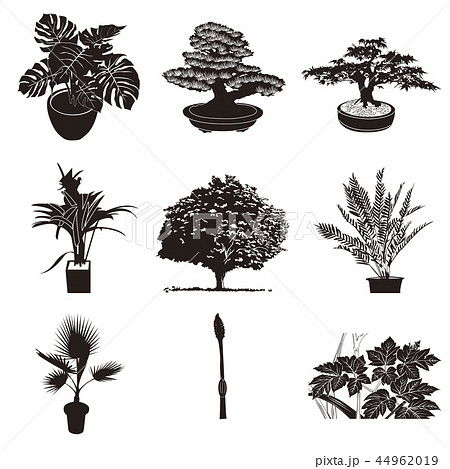 植物シルエットのイラスト素材