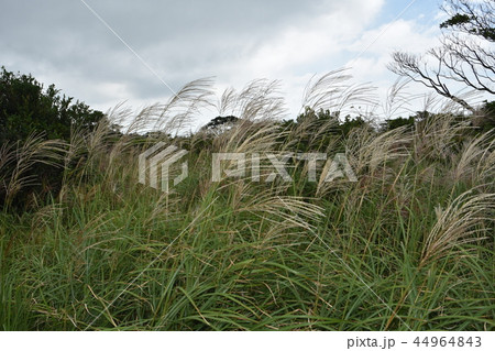 秋の風景 秋の風景 44964843