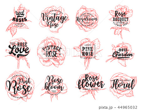 Red roses flower vintage boutique sketch lettering 44965032