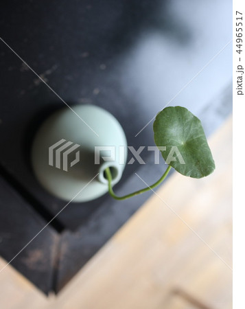 植物 工場 プランツ 44965517