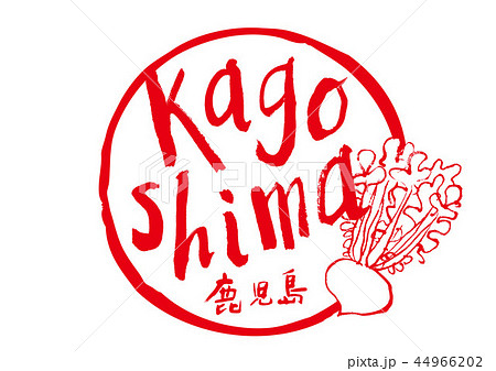 鹿児島　筆文字　桜島大根　水彩画　フレーム 44966202