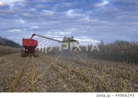combine and tractor 44966245