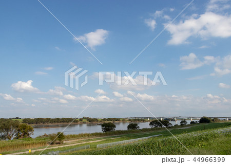 土手の風景と秋の空 埼玉県加須市 土手の風景と秋の空 埼玉県加須市 44966399